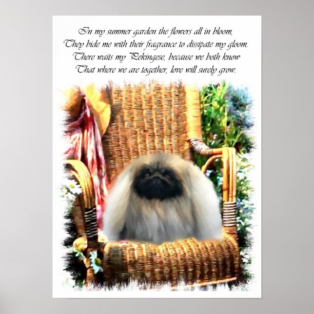 Pekingese Art Print (Front)