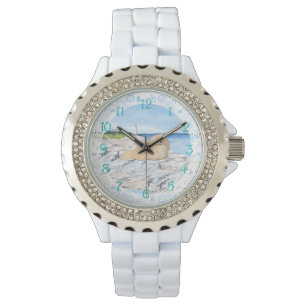 Pekingese at Lighthouse Watch