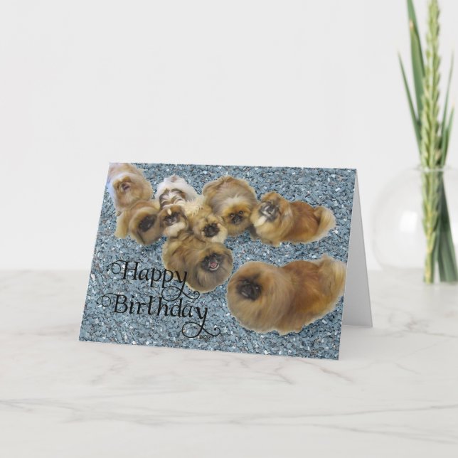 Pekingese Birthday Greeting Card (Front)