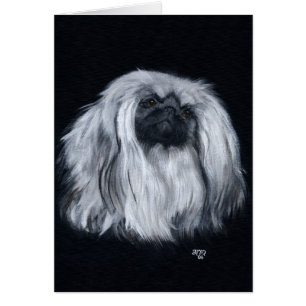 Pekingese Black & White