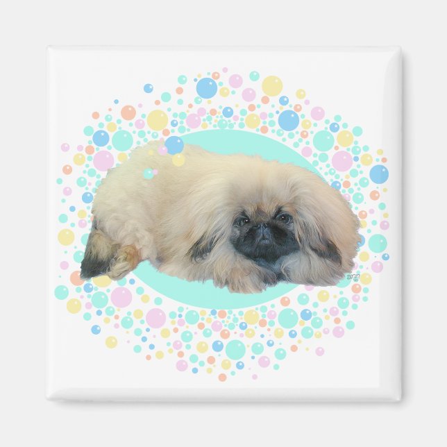 Pekingese Bubble Happiness Magnet (Front)