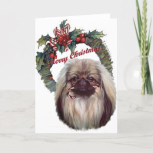 Pekingese candy cane Christmas Holiday Card