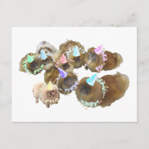 Pekingese Celebration Group Invitation Postcard