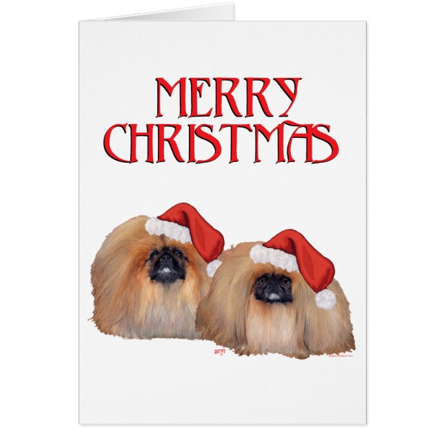 Pekingese Christmas (Front)