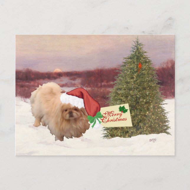 Pekingese Christmas Holiday Postcard (Front)