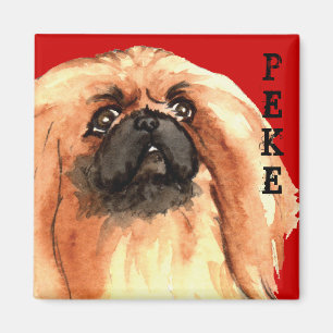 Pekingese Colour Block Magnet