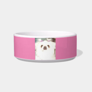 Pekingese dog ceramic bowl. bowl