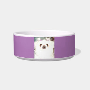 Pekingese dog ceramic bowl. bowl