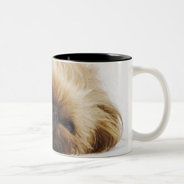 Pekingese dog, close up Two-Tone coffee mug (Right)