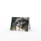 Pekingese dog greeting card