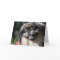 Pekingese dog greeting card