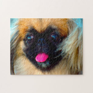 Pekingese Dog. Jigsaw Puzzle
