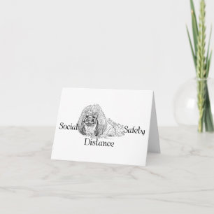 Pekingese Dog Notes