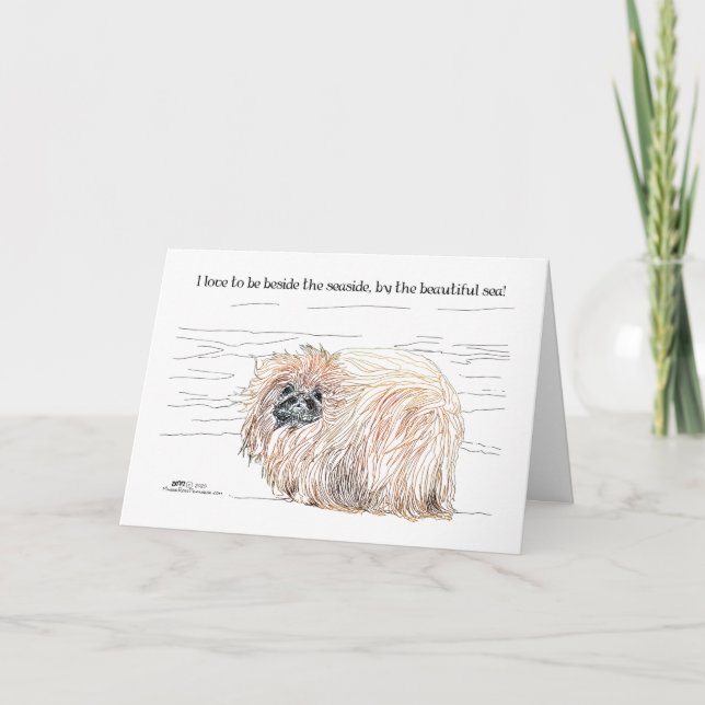 Pekingese Dog Notes (Front)