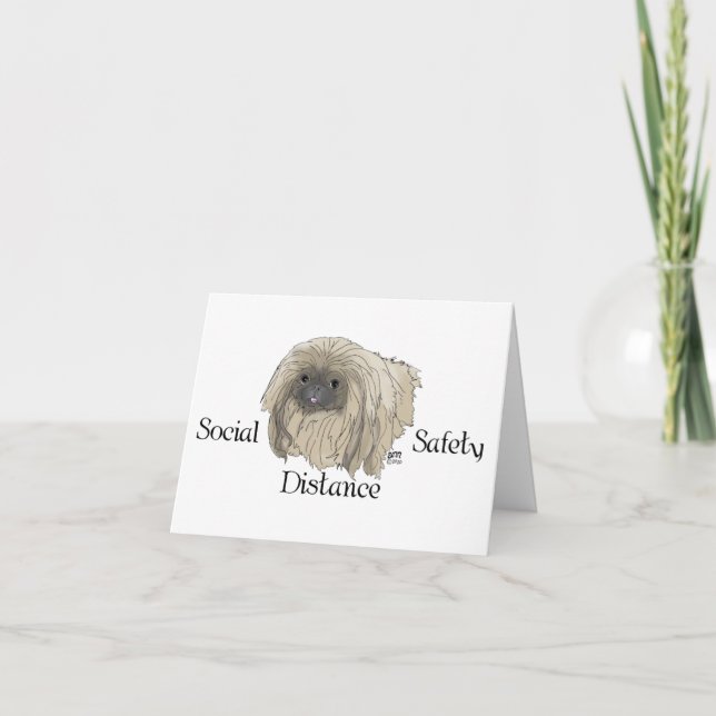 Pekingese Dog Notes (Front)