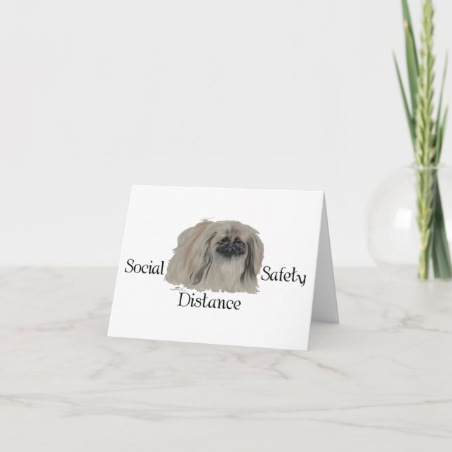 Pekingese Dog Notes (Front)