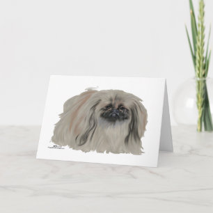Pekingese Dog Notes