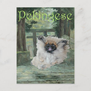 Pekingese Dog Oriental Gate Postcard