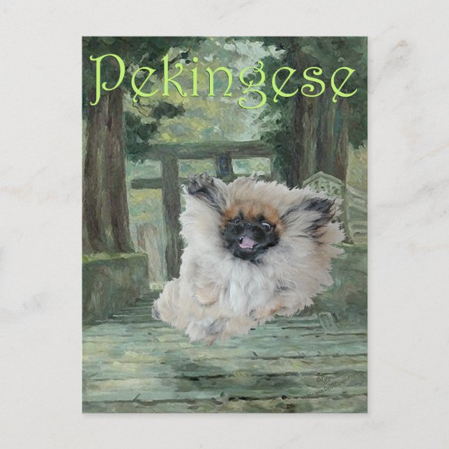 Pekingese Dog Oriental Gate Postcard (Front)