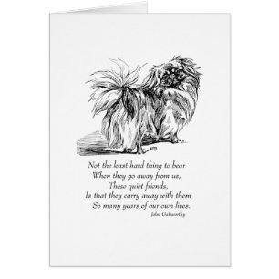 Pekingese Dog Rainbow Bridge