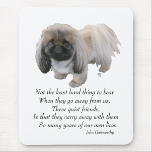 Pekingese Dog Rainbow Bridge Mouse Mat