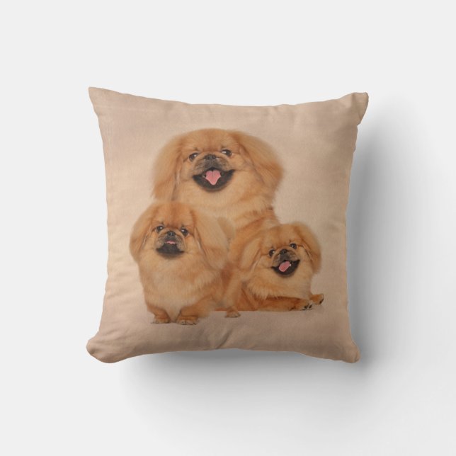 Pekingese dogs collage cushion (Front)
