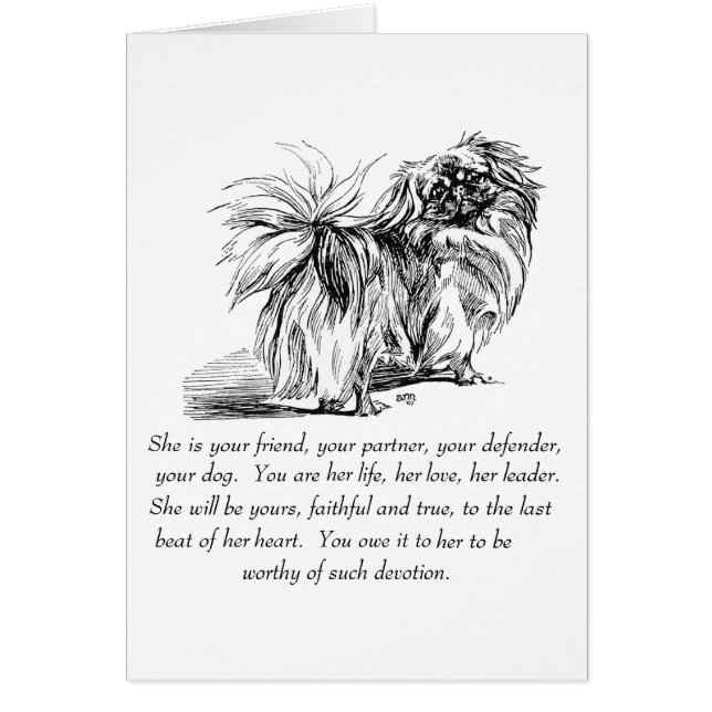 Pekingese Greeting Card (Front)