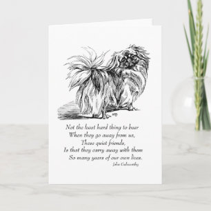 Pekingese Greeting Card
