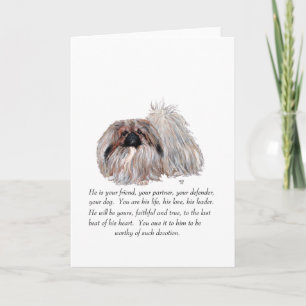 Pekingese Greeting Card