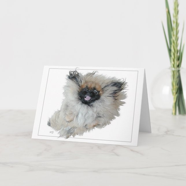 Pekingese Greeting Card (Front)