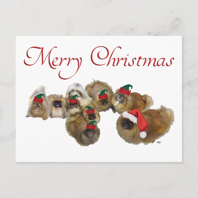 Pekingese Group Celebrates Christmas Holiday Postcard (Front)