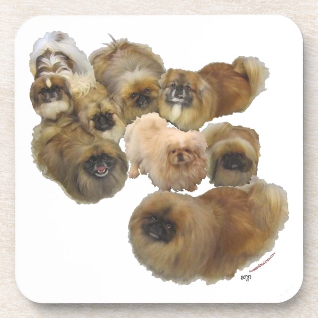 Pekingese Group Coaster (Front)