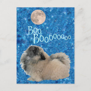 Pekingese Halloween Postcard
