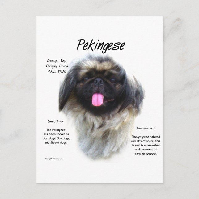 Pekingese History Design Postcard (Front)