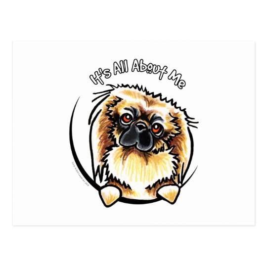 Pekingese IAAM Postcard