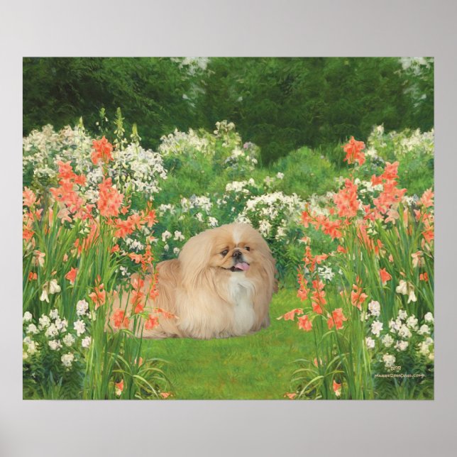 Pekingese in a Garden Poster (Front)