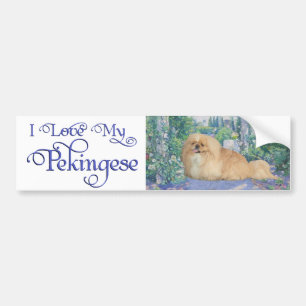 Pekingese in Lavender Bumper Sticker