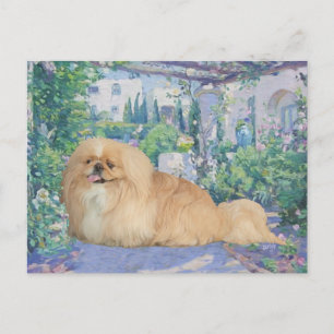 Pekingese in Lavender Postcard