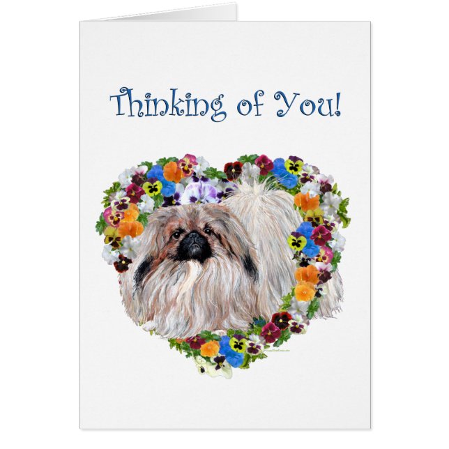 Pekingese in Pansies (Front)