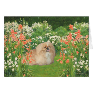 Pekingese in the Garden