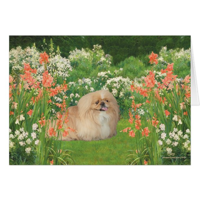 Pekingese in the Garden (Front Horizontal)