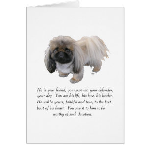 Pekingese Keepsake - MALE