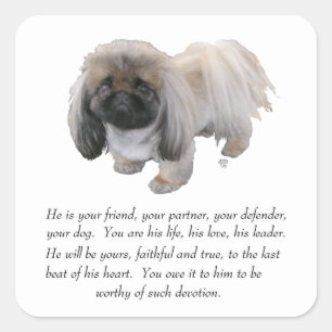 Pekingese Keepsake - MALE Square Sticker