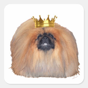 Pekingese King (Customise if you Wish!) Square Sticker