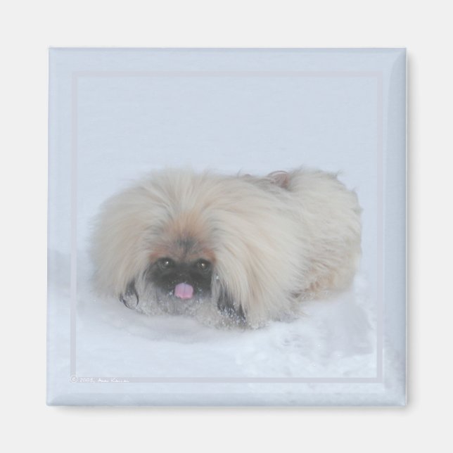 Pekingese Magnet (Front)