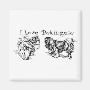 Pekingese Magnet