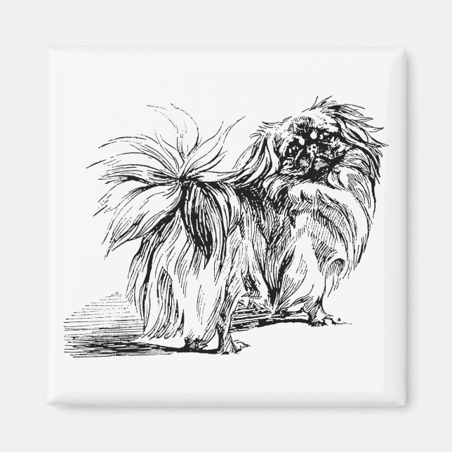 Pekingese Magnet (Front)