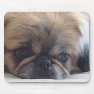 Pekingese Mouse Mat