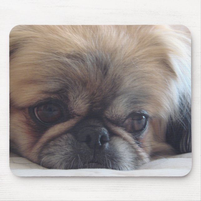 Pekingese Mouse Mat (Front)