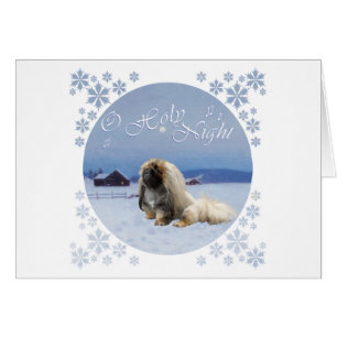 Pekingese O Holy Night